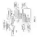Fig. 09 - IDENTIFICATION OF A JAK2 MUTATION IN POLYCYTHEMIA VERA