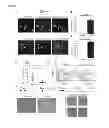 Fig. 02 - Activation of quiescent stem cells