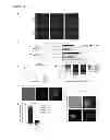 Fig. 05 - Activation of quiescent stem cells