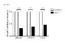 Fig. 08 - Activation of quiescent stem cells