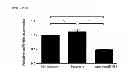 Fig. 14 - Activation of quiescent stem cells
