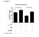 Fig. 19 - Activation of quiescent stem cells