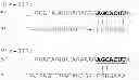 Fig. 17 - Oligonucleotides for modulation of target RNA activity