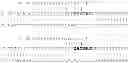 Fig. 34 - Oligonucleotides for modulation of target RNA activity