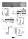 Fig. 02 - Modulation of pre-mRNA using splice modulating oligonucleotides as therapeutic agents in the treatment of disease