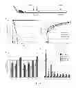 Fig. 02 - Systemic gene replacement therapy for treatment of X-linked myotubular myopathy (XLMTM)