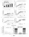 Fig. 08 - Systemic gene replacement therapy for treatment of X-linked myotubular myopathy (XLMTM)