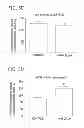 Fig. 06 - Methods for improving brain development and cognitive function using beta-hydroxy-beta methylbutyrate