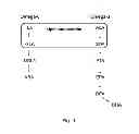 Fig. 02 - Lipid composition for the prevention or treatment of skin problems