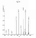 Fig. 03 - Continuous administration of dopa decarboxylase inhibitors and compositions for same