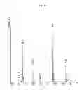 Fig. 04 - Continuous administration of dopa decarboxylase inhibitors and compositions for same