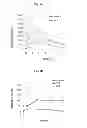 Fig. 12 - Continuous administration of dopa decarboxylase inhibitors and compositions for same