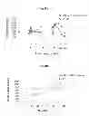 Fig. 15 - Continuous administration of dopa decarboxylase inhibitors and compositions for same