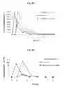 Fig. 17 - Continuous administration of dopa decarboxylase inhibitors and compositions for same