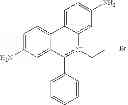 Fig. 23 - Method for enhancing folding and transport of misfolded glucocerebrosidase