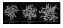 Fig. 01 - Microporous polymers, methods for the preparation thereof, and uses thereof