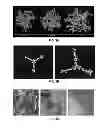 Fig. 04 - Microporous polymers, methods for the preparation thereof, and uses thereof
