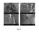 Fig. 11 - Microporous polymers, methods for the preparation thereof, and uses thereof