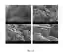 Fig. 13 - Microporous polymers, methods for the preparation thereof, and uses thereof