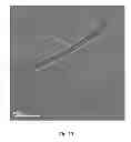 Fig. 14 - Microporous polymers, methods for the preparation thereof, and uses thereof