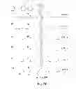 Fig. 22 - Microporous polymers, methods for the preparation thereof, and uses thereof