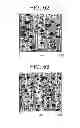 Fig. 48 - Catalyst composition comprising shuttling agent for ethylene multi-block copolymer formation