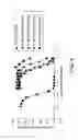 Fig. 10 - Modulation of structured polypeptide specificity