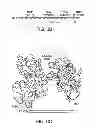 Fig. 09 - Methods for making and using molecular switches involving circular permutation