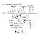 Fig. 16 - Methods for making and using molecular switches involving circular permutation
