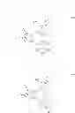 Fig. 28 - Metal complexes of cyclometallated imidazo[1,2-f]phenanthridine and diimidazo[1,2-a:1′,2′-c]quinazoline ligands and isoelectronic and benzannulated analogs thereof