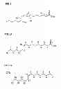 Fig. 06 - Method for extracting hydrocarbons with medium chain lengths, and the use of the same