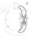 Fig. 04 - SYSTEMS, DEVICES AND METHODS FOR CREATING AN OPERATIVE SITE WITHIN A PATIENT