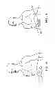 Fig. 08 - SYSTEMS, METHODS AND KITS FOR MEASURING COUGH AND RESPIRATORY RATE USING AN ACCELEROMETER