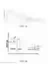 Fig. 02 - Estimation of the dry weight of a dialysis patient