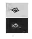 Fig. 14 - Self-assembled, micropatterned, and radio frequency (RF) shielded biocontainers and their uses for remote spatially controlled chemical delivery