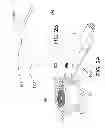 Fig. 03 - Ocular implant system and method