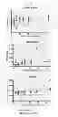Fig. 07 - Cross-protective arenavirus vaccines and their method of use