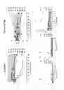Fig. 08 - Cross-protective arenavirus vaccines and their method of use