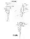 Fig. 04 - Fluid path containing a pressure isolation valve