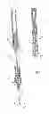 Fig. 04 - Catheter device with needle guard