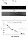 Fig. 22 - HYDROPHILICITY ALTERATION SYSTEM AND METHOD