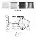 Fig. 20 - Stretchable composite conductors for flexible electronics, stretchable plasmonic devices, optical filters, and implantable devices and methods for manufacture thereof