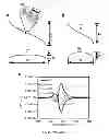 Fig. 32 - Stretchable composite conductors for flexible electronics, stretchable plasmonic devices, optical filters, and implantable devices and methods for manufacture thereof