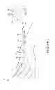 Fig. 53 - SYSTEMS AND METHODS FOR TREATMENT OF COMPRESSED NERVES