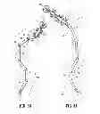 Fig. 10 - LAPAROSCOPIC INSTRUMENT AND RELATED SURGICAL METHOD