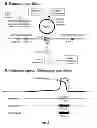 Fig. 03 - Methods and systems for achieving a physiological response by pudendal nerve stimulation and blockade