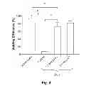 Fig. 06 - Methods and systems for achieving a physiological response by pudendal nerve stimulation and blockade