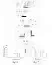 Fig. 13 - Methods and systems for achieving a physiological response by pudendal nerve stimulation and blockade