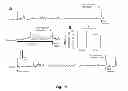 Fig. 17 - Methods and systems for achieving a physiological response by pudendal nerve stimulation and blockade