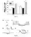 Fig. 20 - Methods and systems for achieving a physiological response by pudendal nerve stimulation and blockade